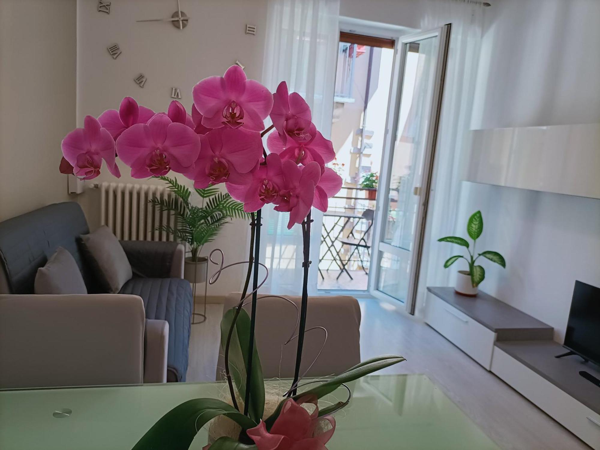 Apartment Jessy Бавено Екстериор снимка